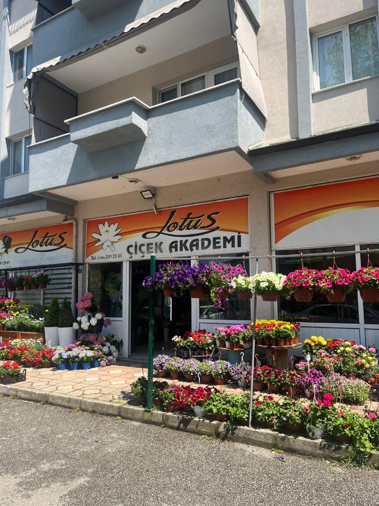 Lotus Çiçek Akademi dükkân görünümü — Sakarya Serdivan